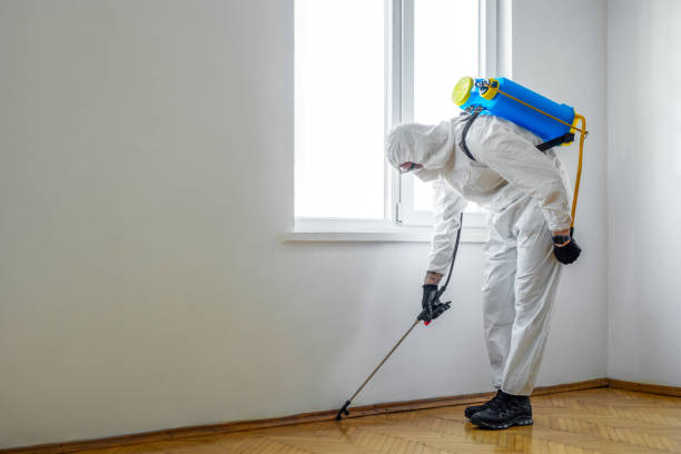 Best Residential Pest Control  in South Blooming Grove, NY